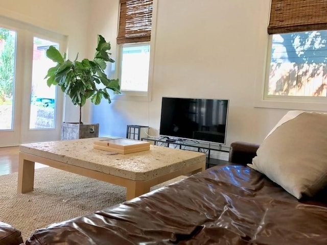 interior space featuring hardwood / wood-style floors and a wealth of natural light