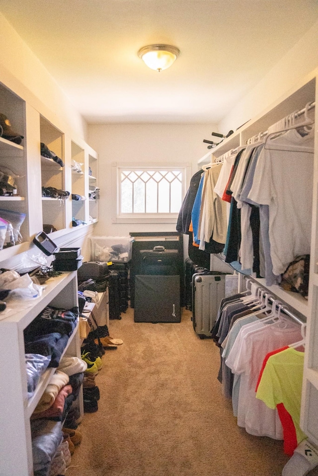 walk in closet with carpet flooring