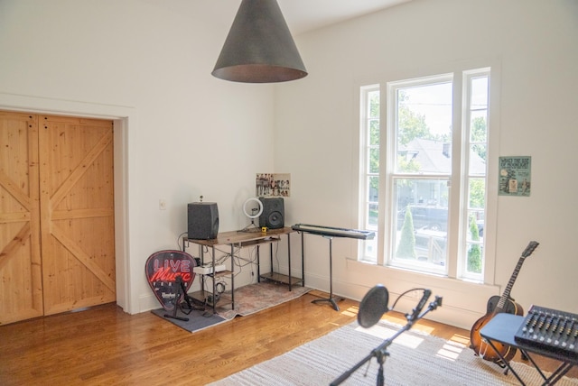 exercise area with hardwood / wood-style floors and a wealth of natural light