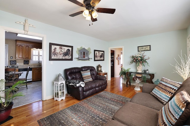 living room featuring sink, ceiling fan, and light hardwood / wood-style flooring