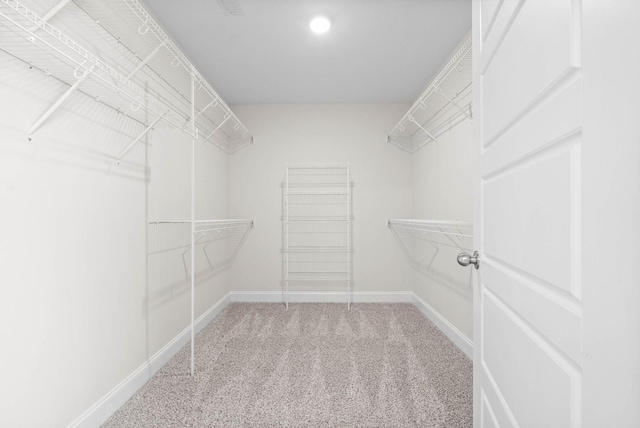 walk in closet with carpet floors