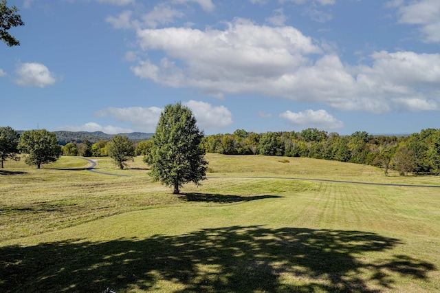 view of community featuring a rural view and a yard