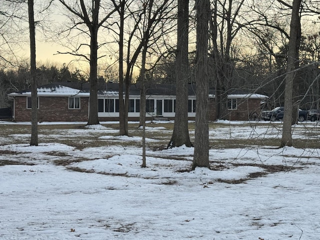 view of yard covered in snow