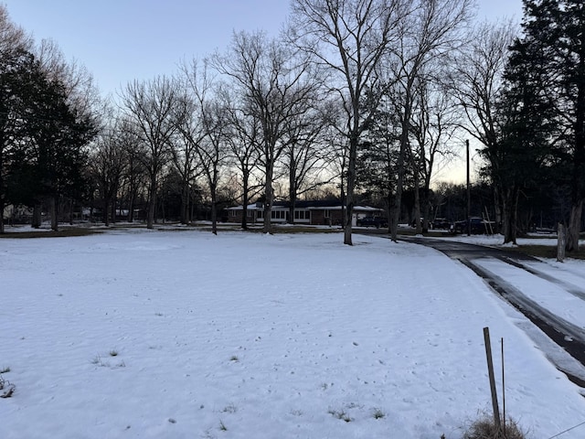 view of yard layered in snow