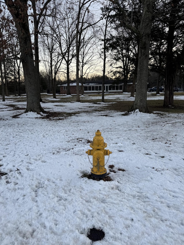 view of yard covered in snow