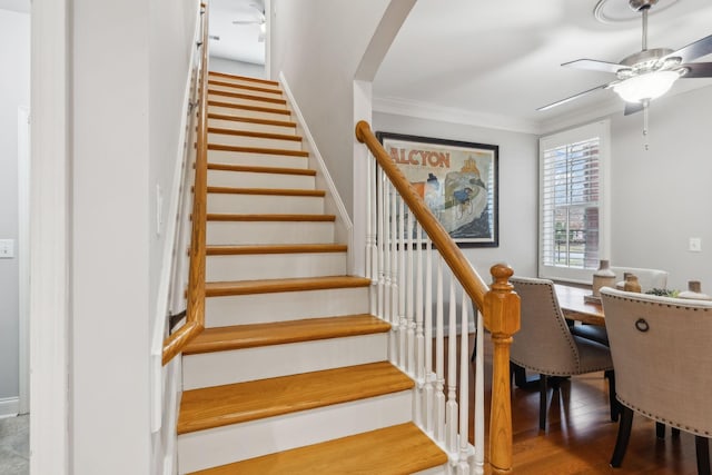 stairs featuring hardwood / wood-style floors, ceiling fan, and crown molding