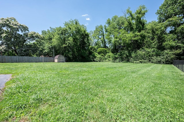 view of yard with a storage unit