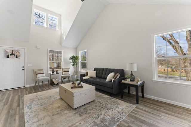 living room with a towering ceiling, a healthy amount of sunlight, and wood-type flooring