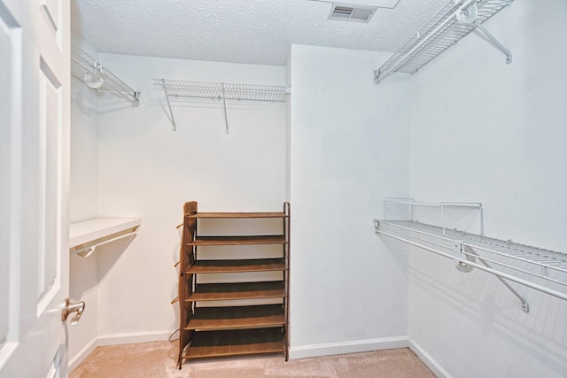 walk in closet with carpet