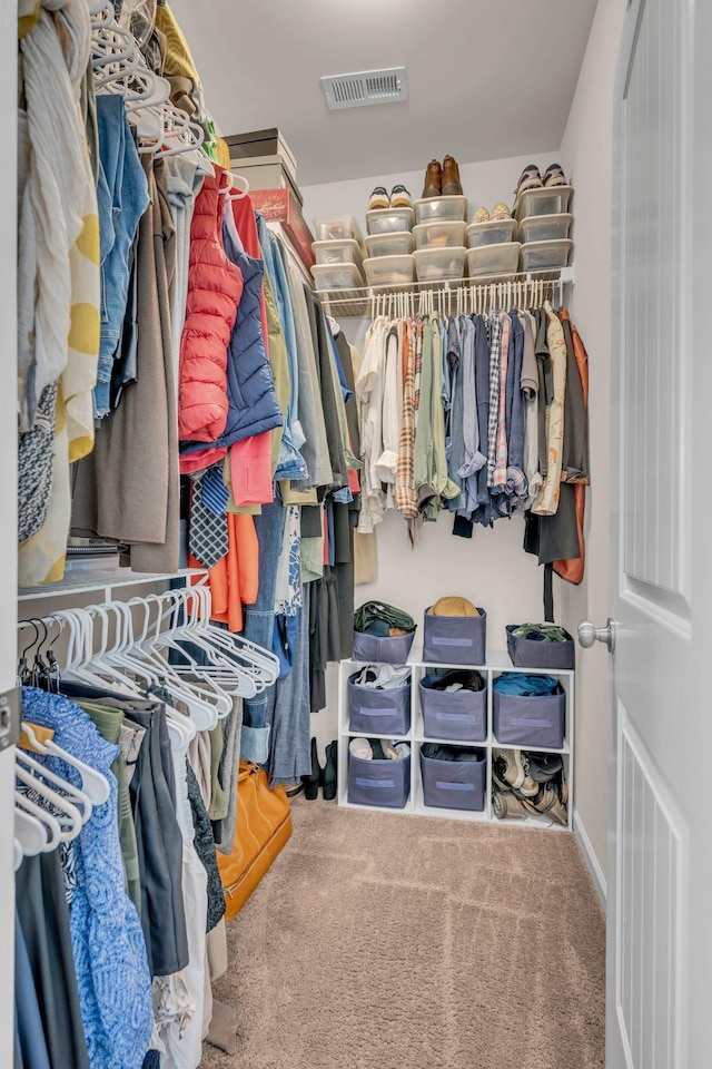 walk in closet with carpet flooring