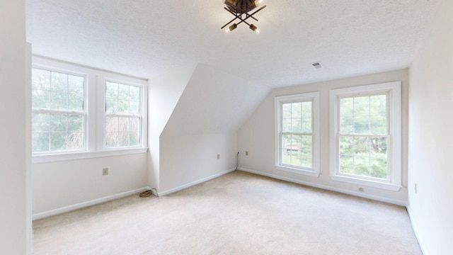 additional living space featuring light carpet, a textured ceiling, and lofted ceiling