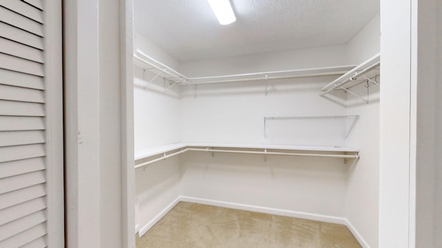 spacious closet with light colored carpet