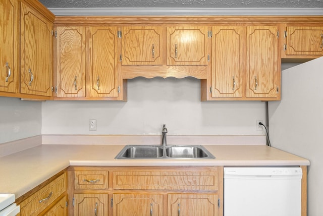 kitchen with stove, dishwasher, and sink