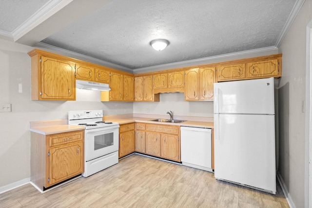 kitchen featuring sink, white appliances, crown molding, and a textured ceiling