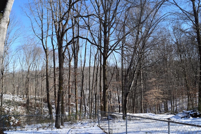 view of snowy landscape