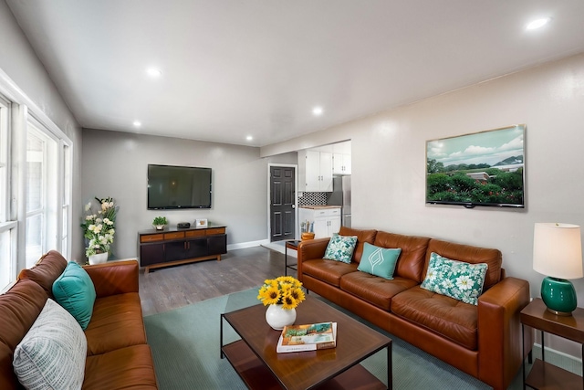 living room with hardwood / wood-style floors