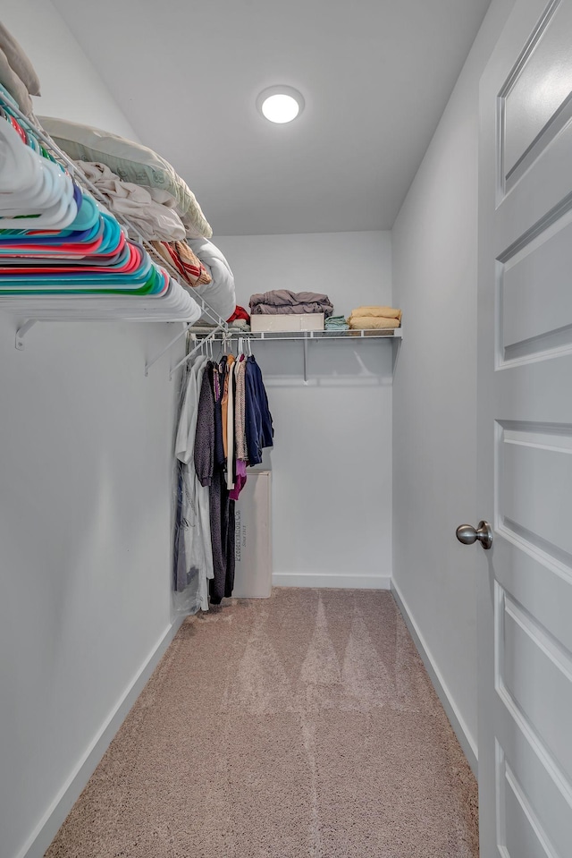 spacious closet featuring light colored carpet