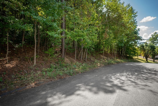 1718 Spring View Ln, Chattanooga TN, 37421 land for sale