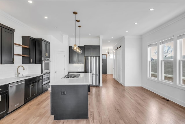 kitchen featuring a sink, open shelves, a center island, a barn door, and stainless steel appliances