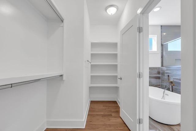 walk in closet with wood finished floors