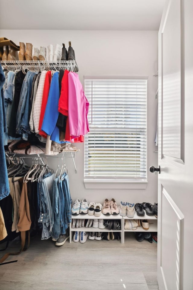 spacious closet featuring wood-type flooring