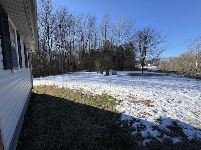 view of snowy yard