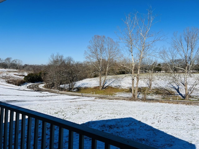 view of yard layered in snow