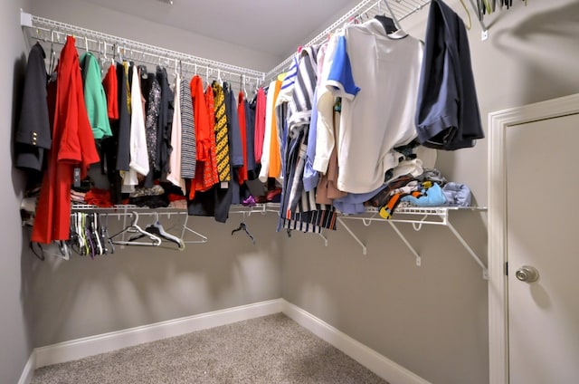 walk in closet featuring carpet flooring