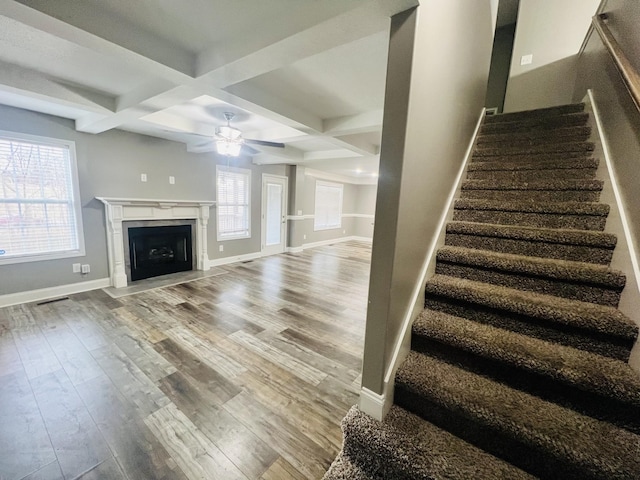 staircase with coffered ceiling, hardwood / wood-style floors, and a healthy amount of sunlight