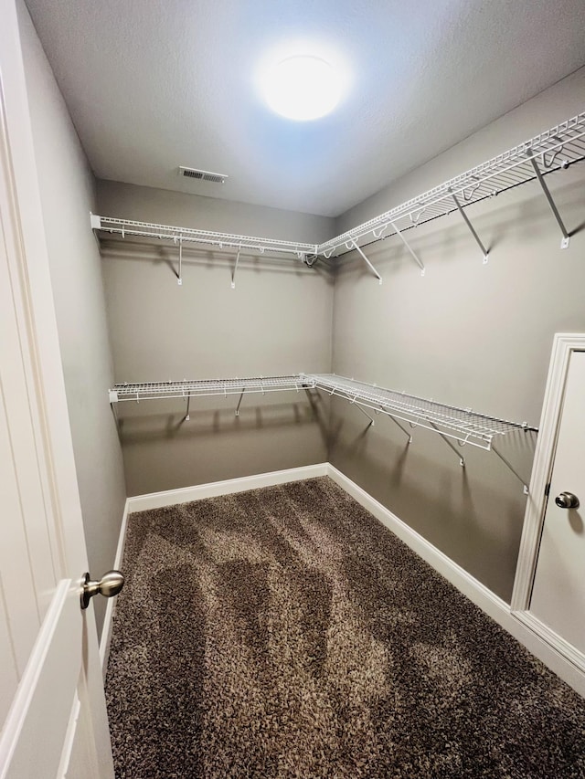 spacious closet featuring carpet floors