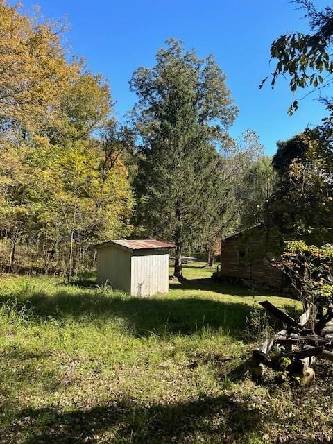 view of yard featuring a storage shed