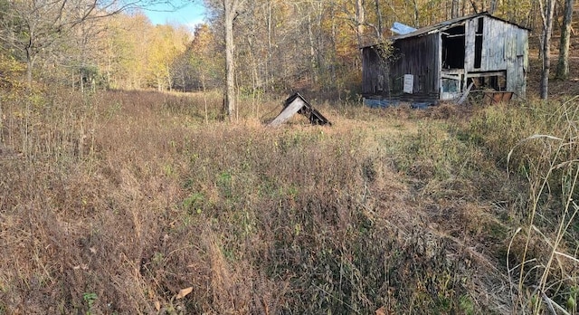 view of yard featuring an outdoor structure