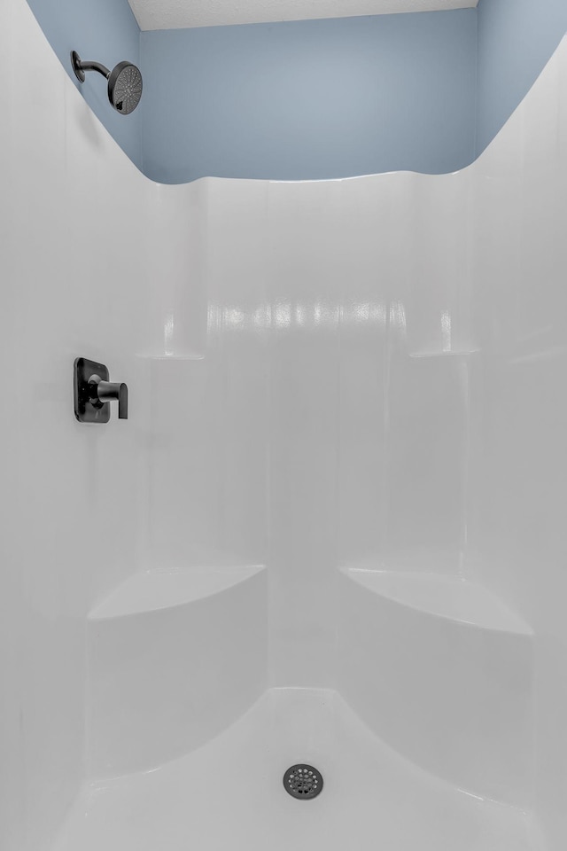 bathroom with a shower