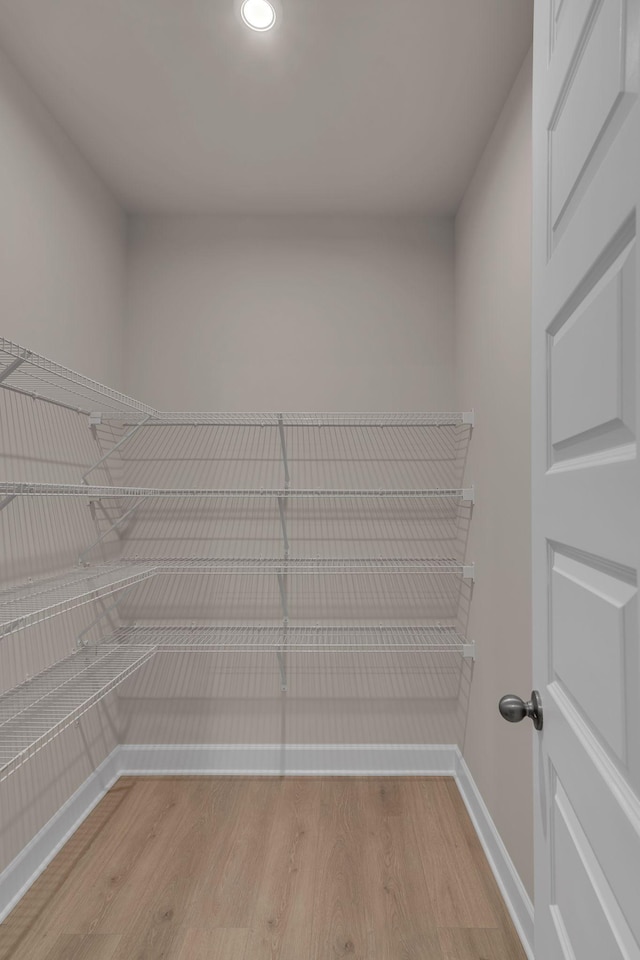 spacious closet featuring light hardwood / wood-style flooring