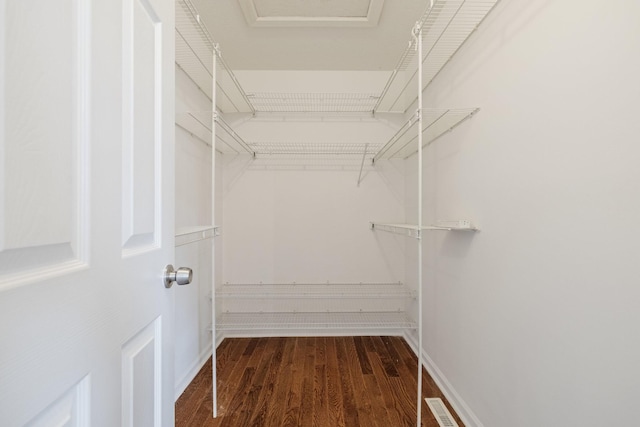 walk in closet featuring dark hardwood / wood-style floors