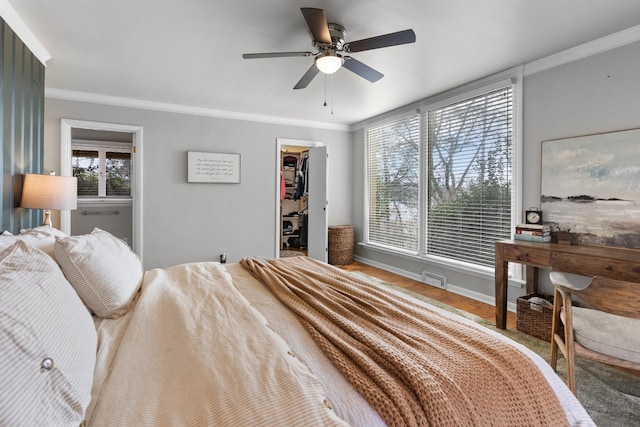 bedroom featuring a spacious closet, a closet, ceiling fan, and ornamental molding