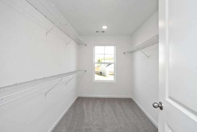 walk in closet with carpet flooring