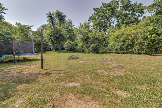 view of yard featuring a trampoline