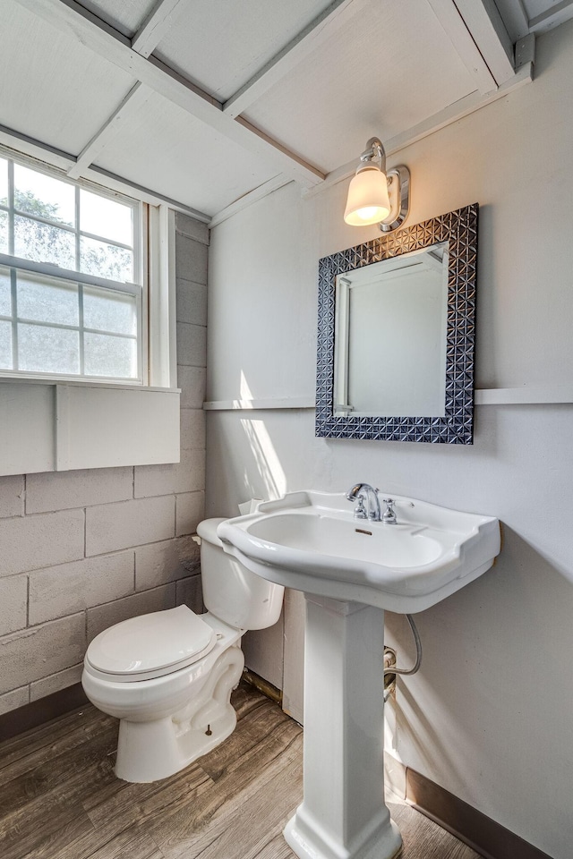 bathroom featuring hardwood / wood-style flooring and toilet