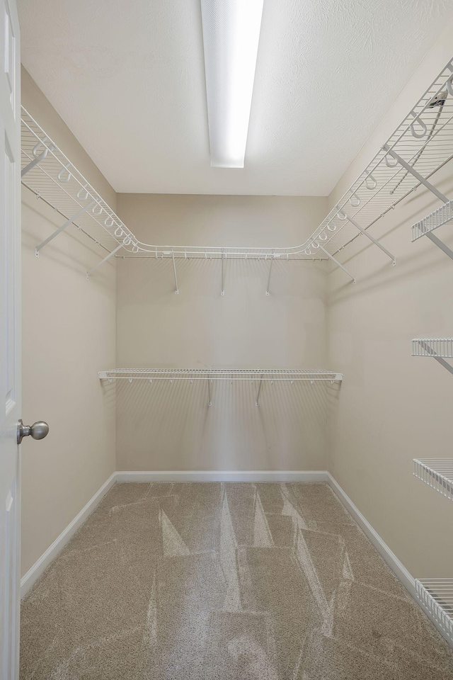 walk in closet featuring carpet