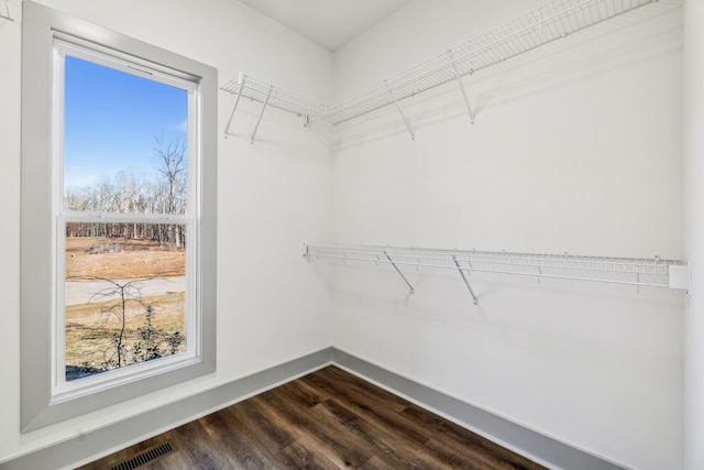 walk in closet with dark hardwood / wood-style flooring