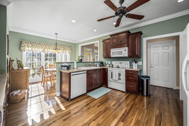 kitchen with sink, decorative light fixtures, dark hardwood / wood-style floors, kitchen peninsula, and white appliances