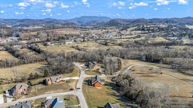 aerial view with a mountain view