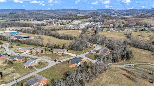 aerial view with a mountain view