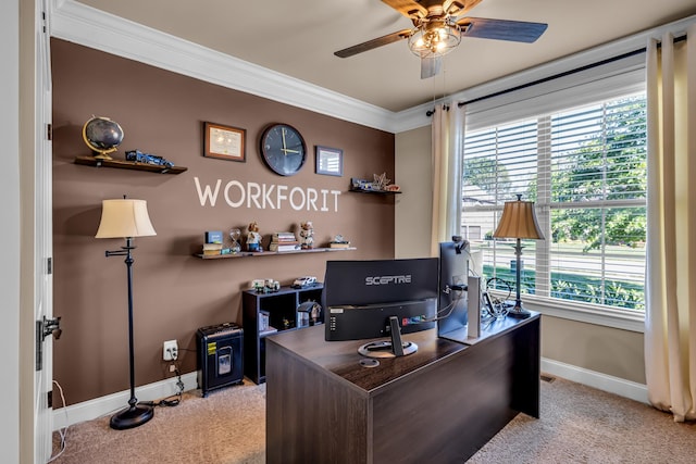 carpeted office space with ceiling fan and crown molding