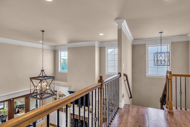 hall with hardwood / wood-style flooring, a chandelier, and ornamental molding