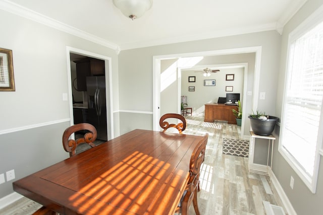 dining area featuring ceiling fan, light wood-type flooring, and ornamental molding