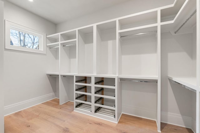 spacious closet with hardwood / wood-style flooring