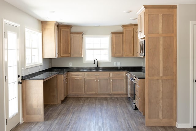 kitchen featuring dark wood-type flooring, sink, and stainless steel appliances