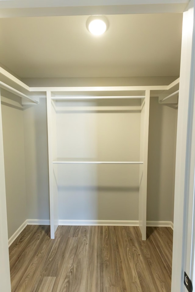 walk in closet with wood-type flooring